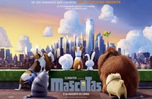 mascotas